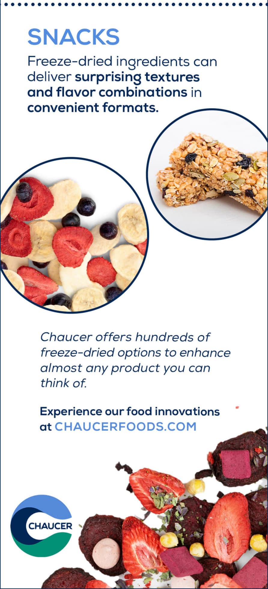 Freeze-Dried_Applications_Infographic-6